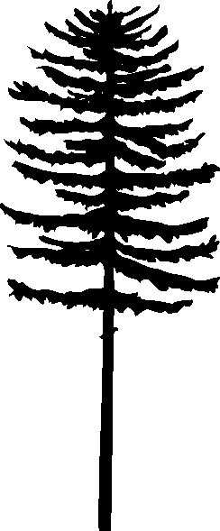 Trees clip art