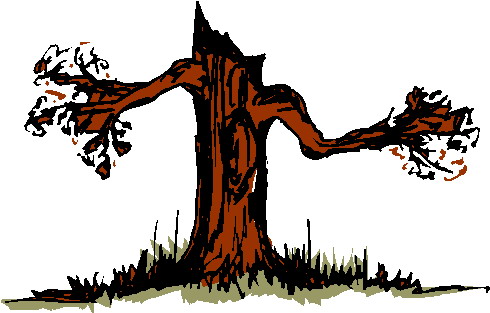 Trees clip art