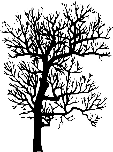 Trees clip art