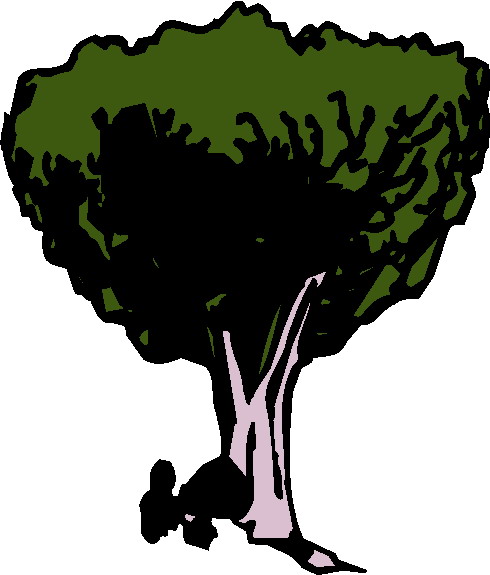 Trees clip art