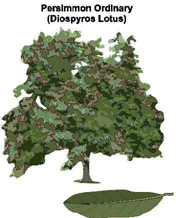 Trees clip art