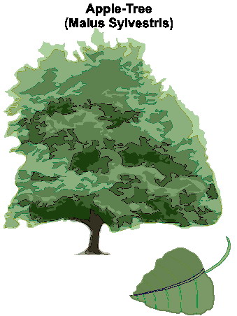 Trees clip art