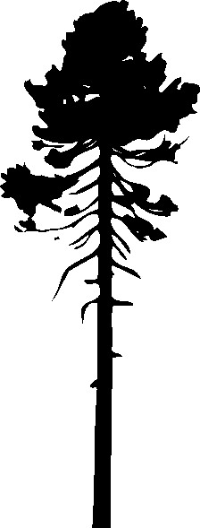 Trees clip art