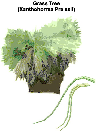 Trees clip art