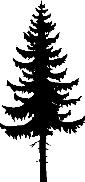 Trees clip art