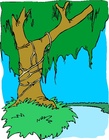 Trees clip art