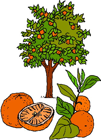 Trees clip art