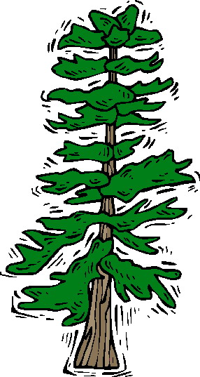 Trees clip art