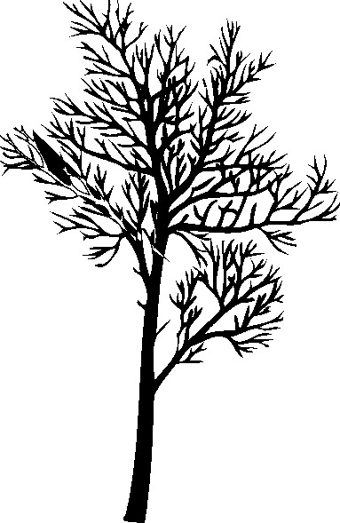 Trees clip art