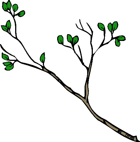 Trees clip art