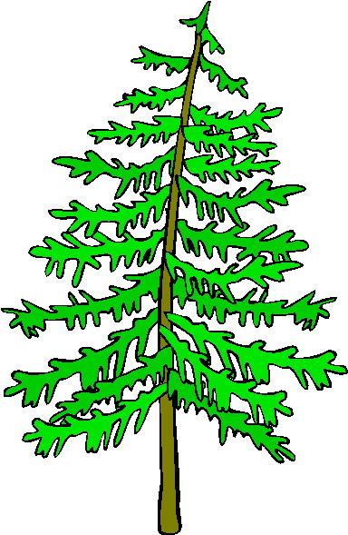 Trees clip art