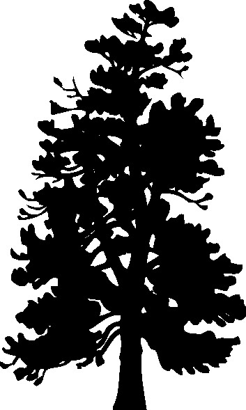 Trees clip art