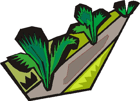 Trees clip art