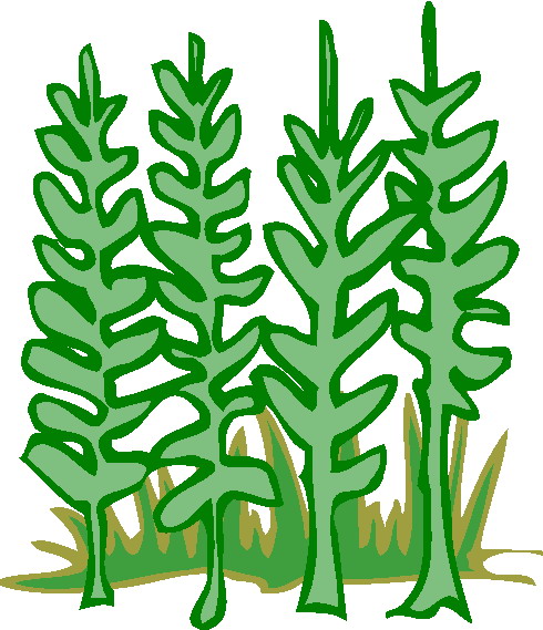 Trees clip art
