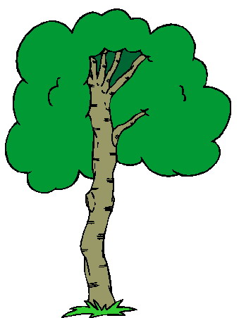Trees clip art