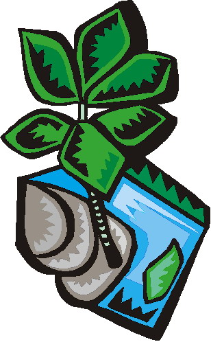 Trees clip art