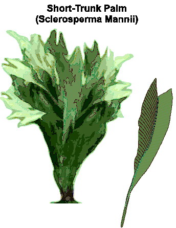 Trees clip art