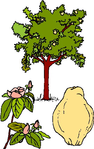 Trees clip art