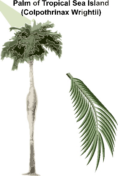 Trees clip art