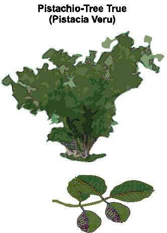 Trees clip art