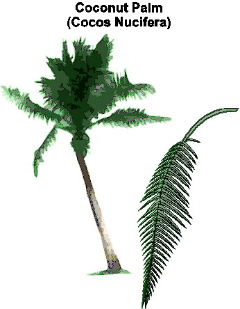 Trees clip art