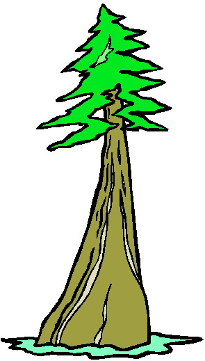 Trees clip art