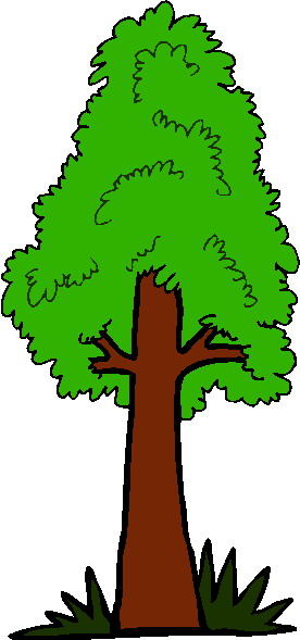 Trees clip art