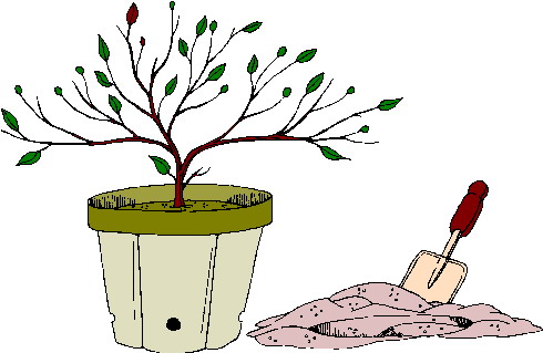 Trees clip art