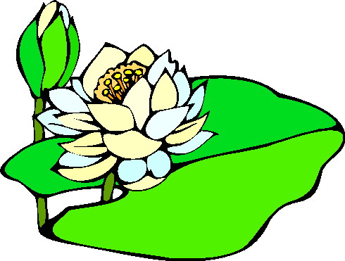 Water lily clip art