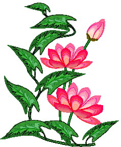 Water lily clip art