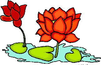 Water lily clip art