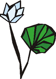 Water lily clip art