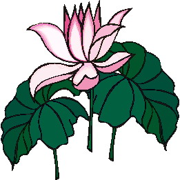 Water lily clip art