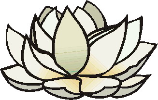 Water lily clip art