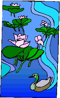 Water lily clip art