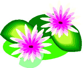 Water lily clip art