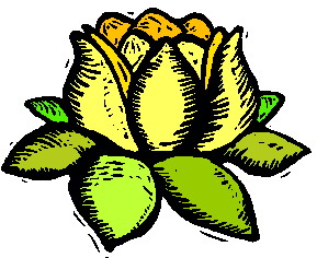 Water lily clip art