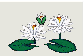 Water lily clip art