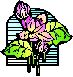 Water lily clip art