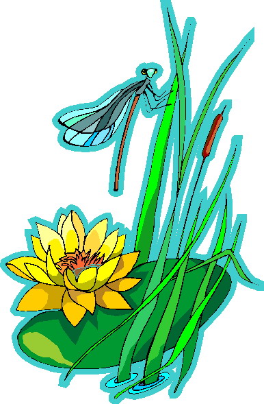 Water lily clip art