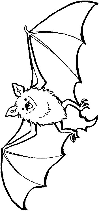 Bat coloring pages