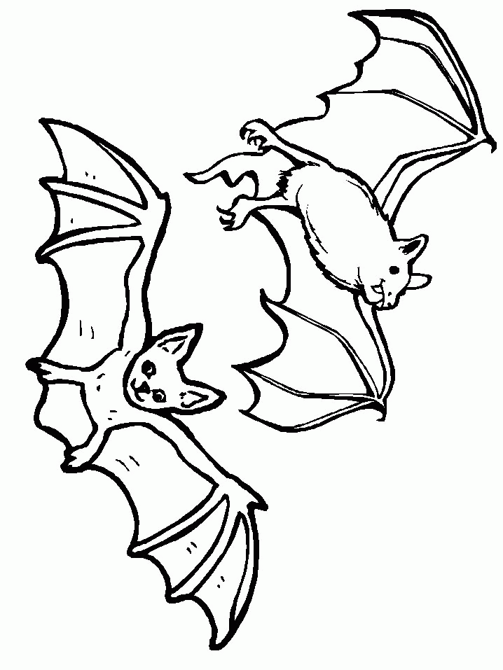 Bat