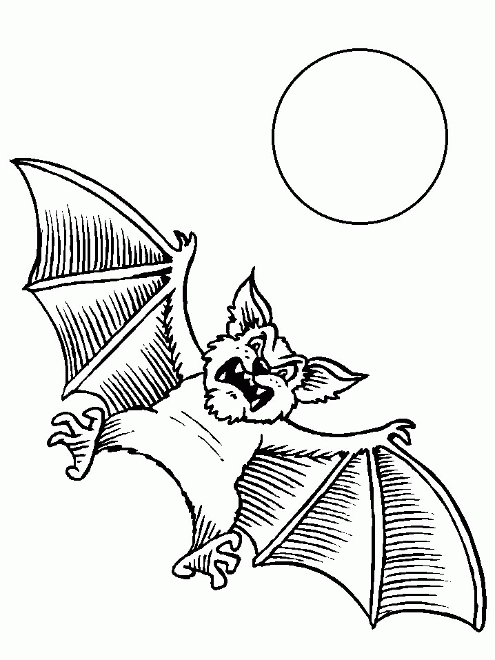 Bat