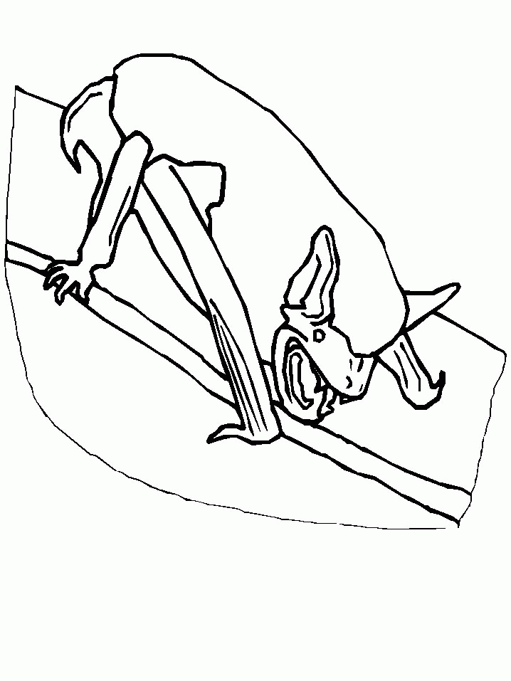 Bat coloring pages