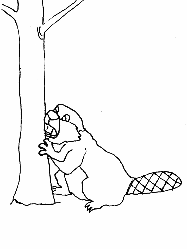 Beaver coloring pages