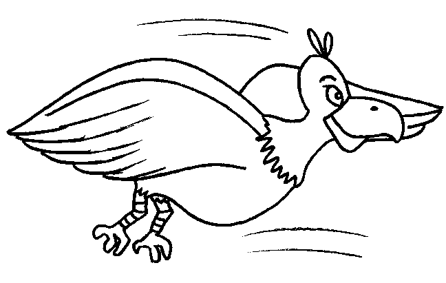 Bird coloring pages