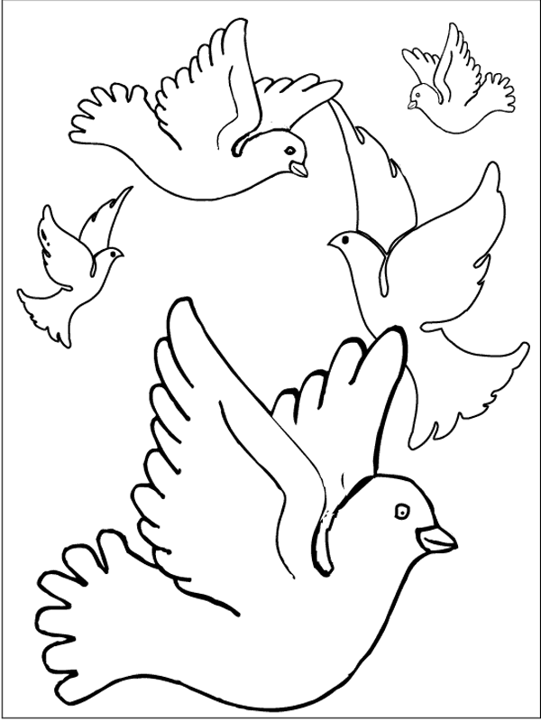 Bird coloring pages