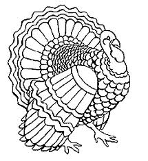 Bird coloring pages