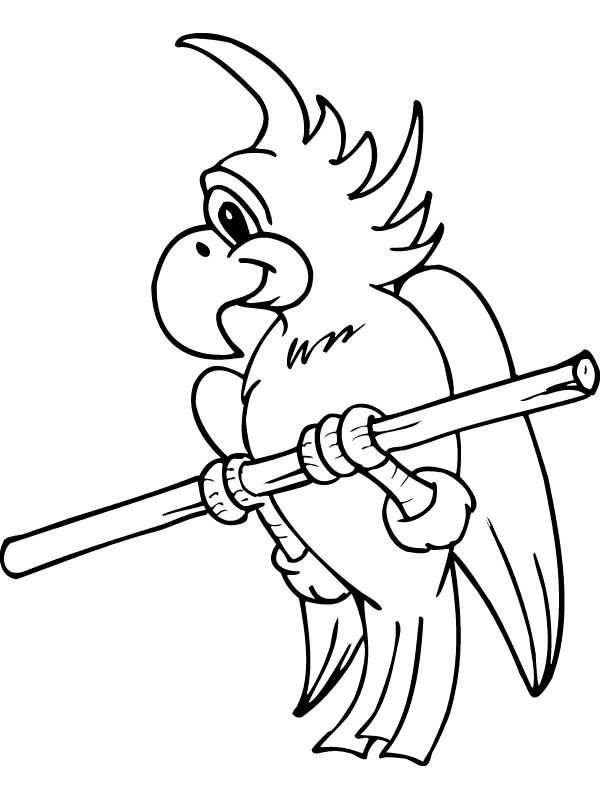 Bird coloring pages