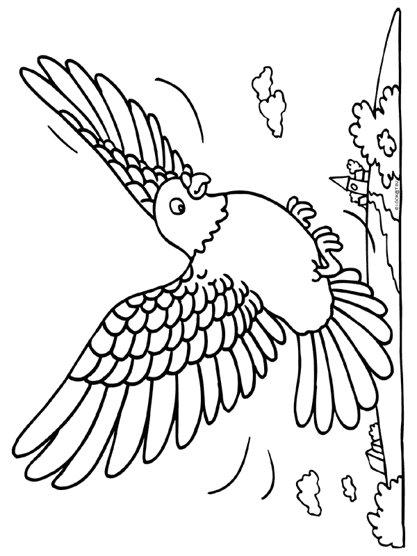 Bird coloring pages